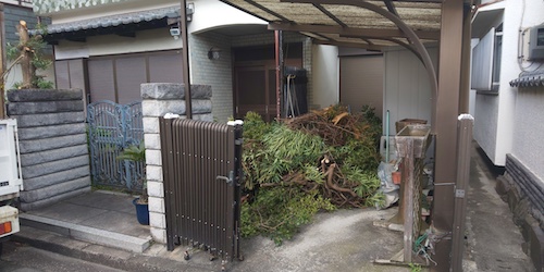 剪定後の枝